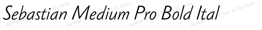 Sebastian Medium Pro Bold Italic字体转换